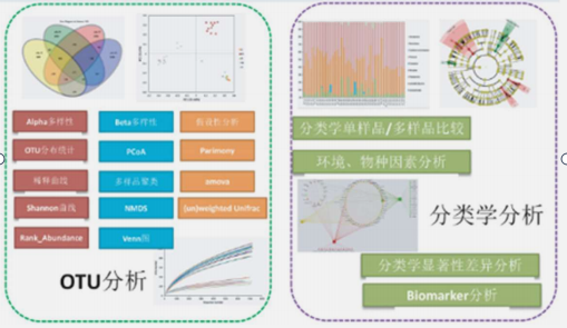 微生物多样性研究.png