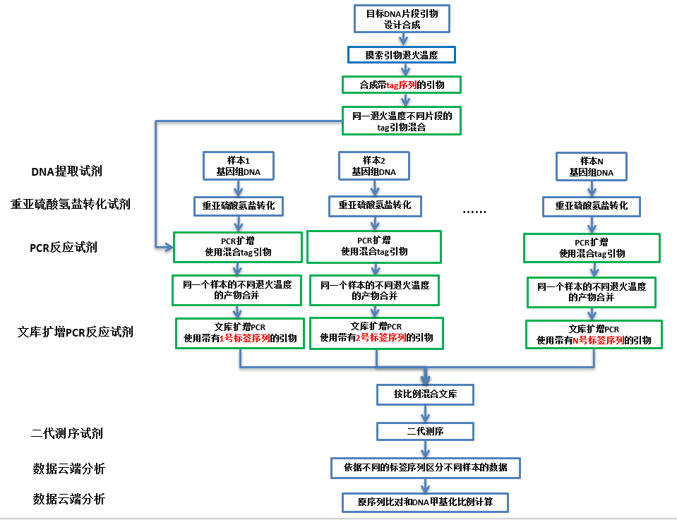 1750226969349514.png 亚硫酸盐多重扩增子测序(BSMAS)(候选位点DNA甲基化检测).png