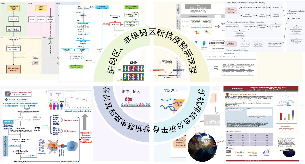 1750236227128401.png 多组学融合与AI驱动的精准医学研究.png