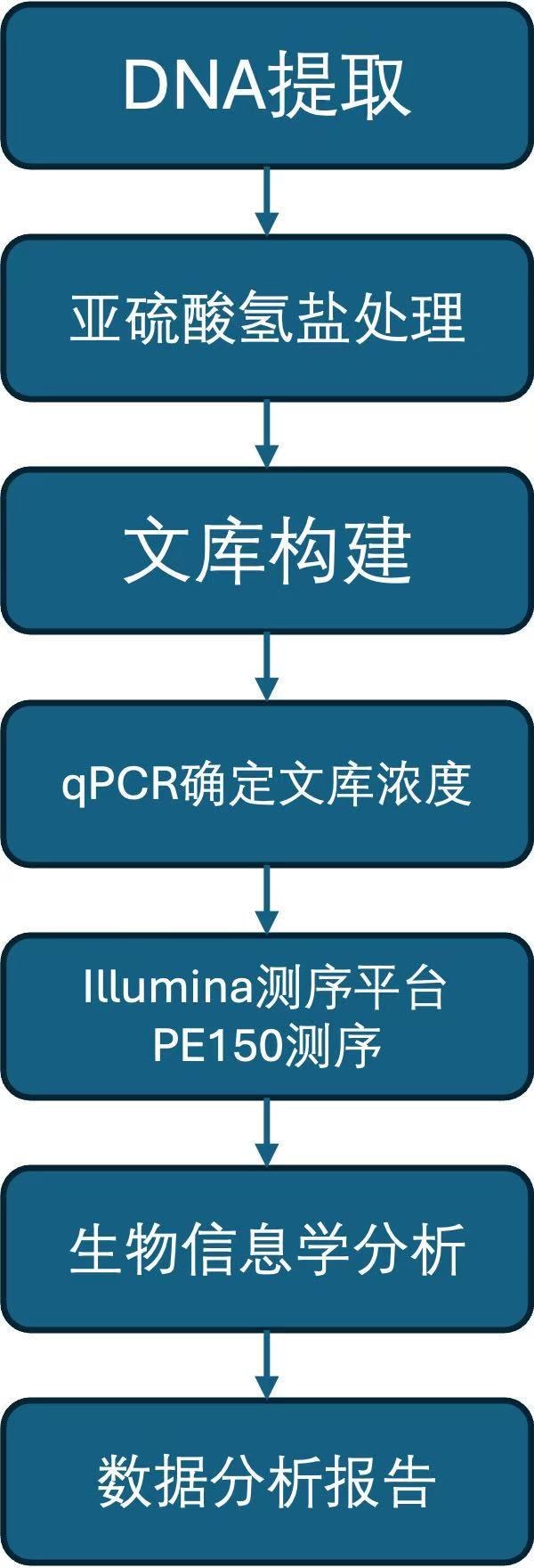 1751418291985277.jpg 全基因组亚硫酸氢盐测序.jpg