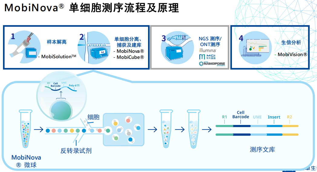 1765268563978115.png 单细胞测序.png