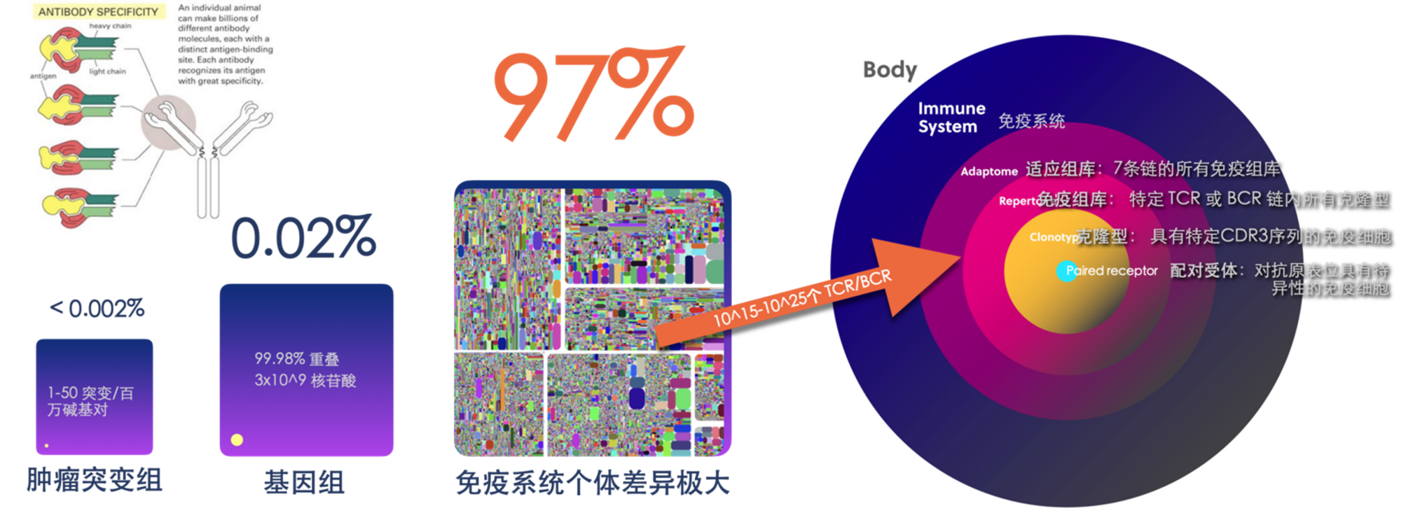 微信图片_20260326143703_698_315.jpg